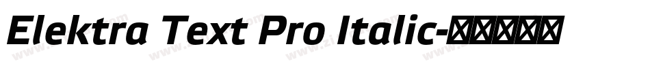 Elektra Text Pro Italic字体转换
